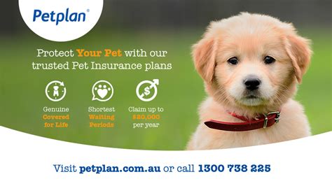 phone number petplan insurance.